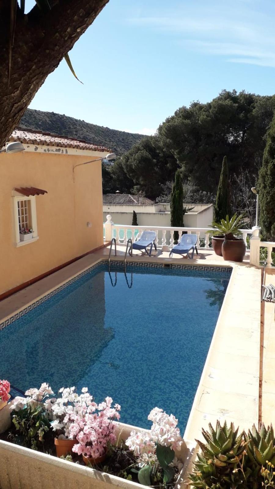 En Con Piscina 100 M De La Playa Apartment *